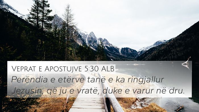 Veprat e Apostujve 5:30 ALB Bible Verse Image