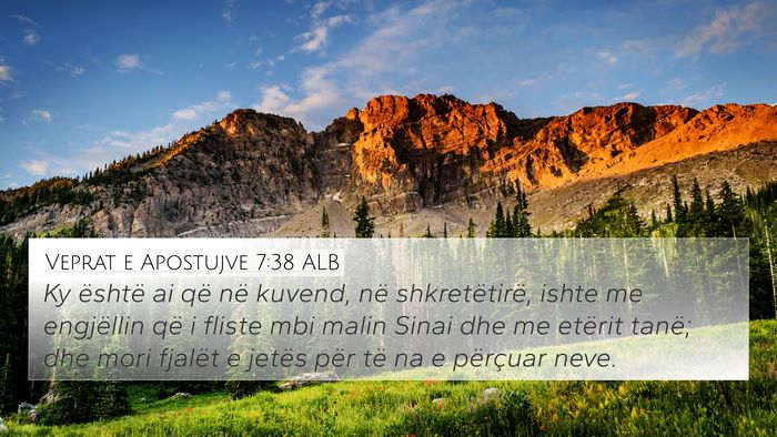 Veprat e Apostujve 7:38 ALB Bible Verse Image