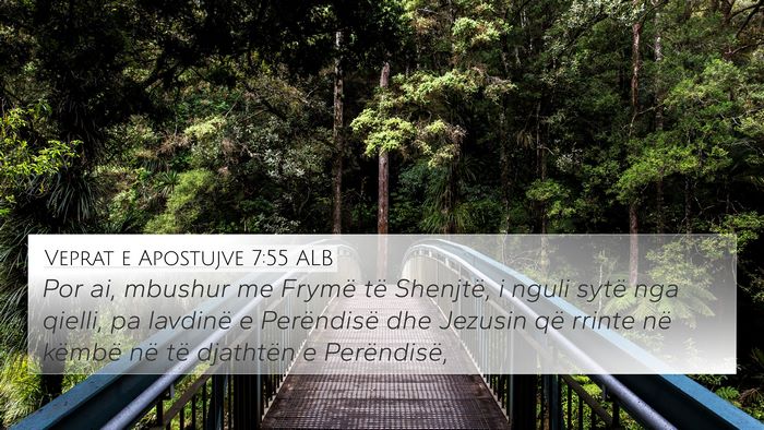 Veprat e Apostujve 7:55 ALB Bible Verse Image