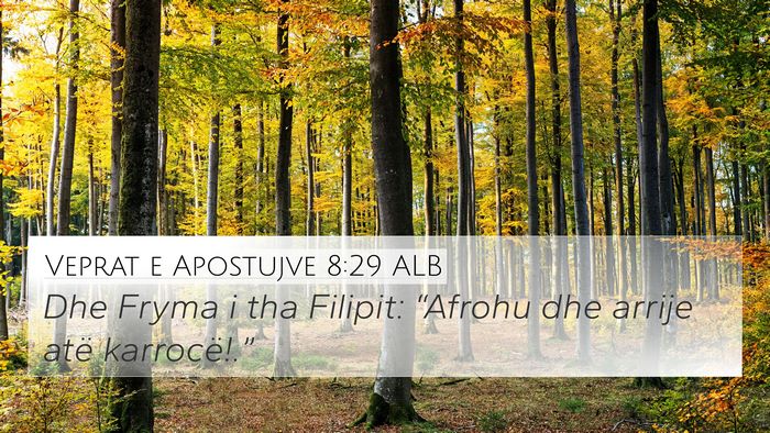 Veprat e Apostujve 8:29 ALB Bible Verse Image
