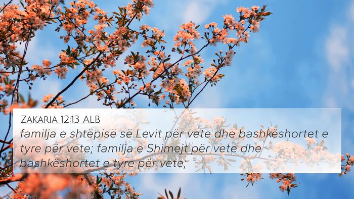 Zakaria 12:13 ALB 4K Wallpaper - familja e shtëpisë së Levit për vete dhe - 4K Wallpaper Bible Verse