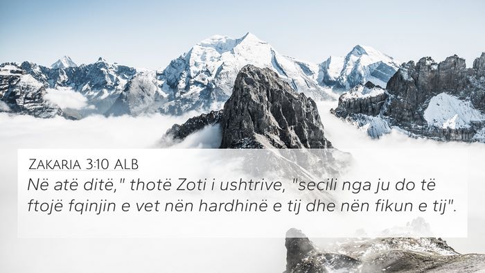 Zakaria 3:10 ALB Bible Verse Image