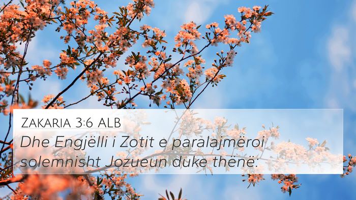 Zakaria 3:6 ALB Bible Verse Image