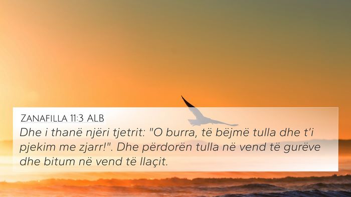 Zanafilla 11:3 ALB Bible Verse Image