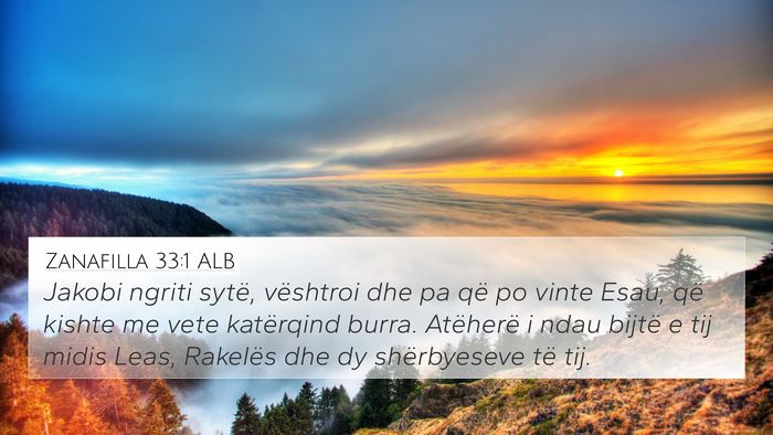 Zanafilla 33:1 ALB 4K Wallpaper - Jakobi ngriti sytë, vështroi dhe pa që po - 4K Wallpaper Bible Verse