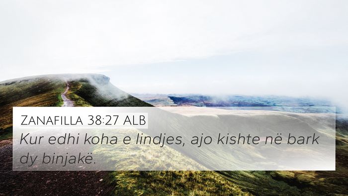 Zanafilla 38:27 ALB 4K Wallpaper - Kur edhi koha e lindjes, ajo kishte në bark dy - 4K Wallpaper Bible Verse