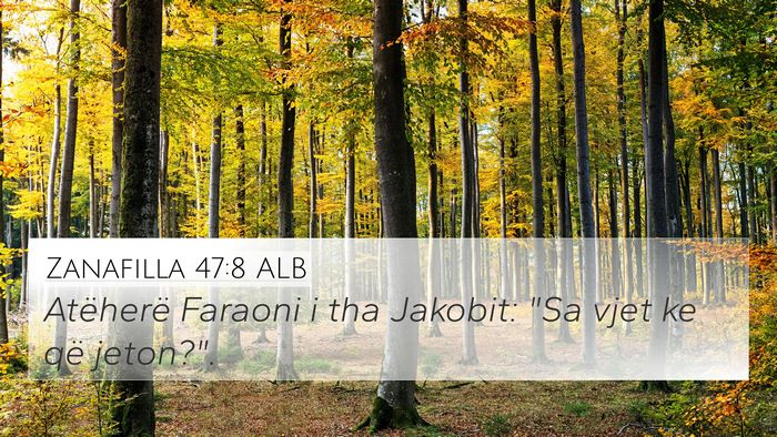 Zanafilla 47:8 ALB Bible Verse Image