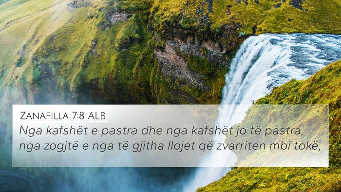 Zanafilla 7:8 ALB Bible Verse Image