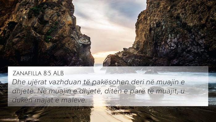 Zanafilla 8:5 ALB Bible Verse Image