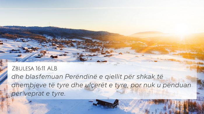 Zbulesa 16:11 ALB Bible Verse Image