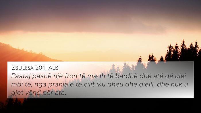 Zbulesa 20:11 ALB Bible Verse Image