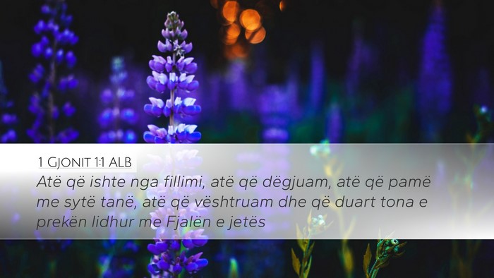 1 Gjonit 1:1 ALB Desktop Wallpaper - Atë që ishte nga fillimi, atë që dëgjuam, - Desktop Bible Verse Wallpaper