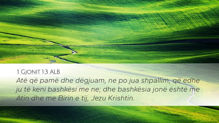 1 Gjonit 1:3 ALB Bible Verse Image