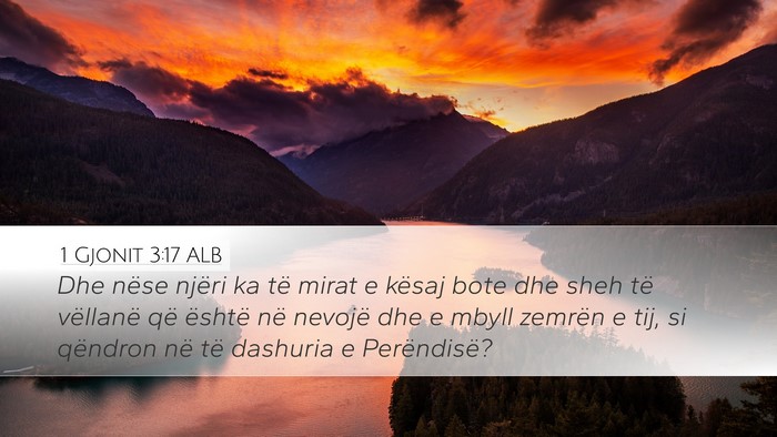 1 Gjonit 3:17 ALB Bible Verse Image