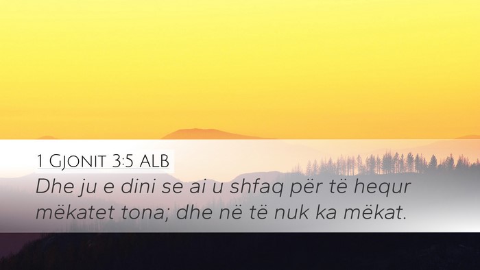 1 Gjonit 3:5 ALB Bible Verse Image