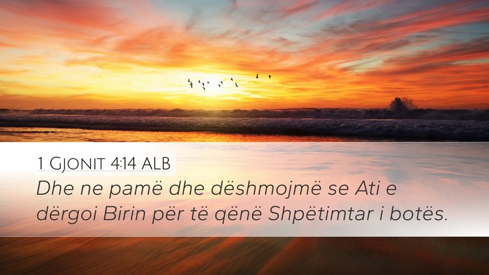1 Gjonit 4:14 ALB Bible Verse Image