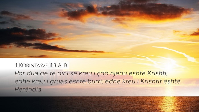 1 Korintasve 11:3 ALB Bible Verse Image