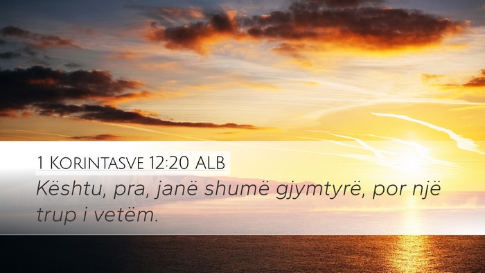 1 Korintasve 12:20 ALB Bible Verse Image