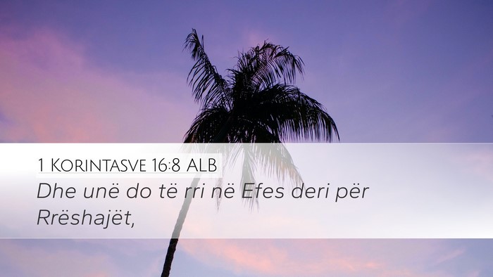 1 Korintasve 16:8 ALB Bible Verse Image