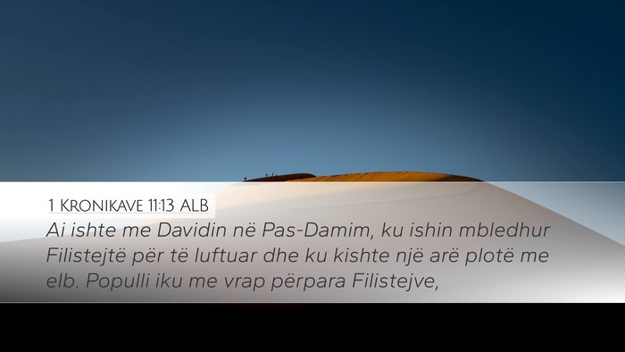 1 Kronikave 11:13 ALB Bible Verse Image