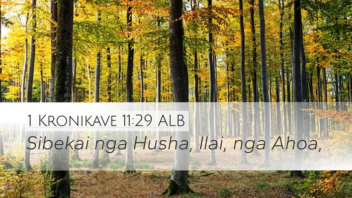 1 Kronikave 11:29 ALB Bible Verse Image