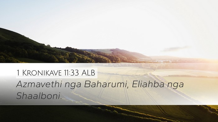 1 Kronikave 11:33 ALB Bible Verse Image