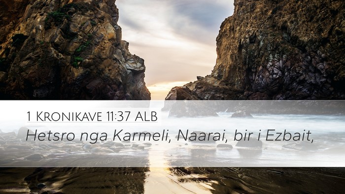 1 Kronikave 11:37 ALB Bible Verse Image