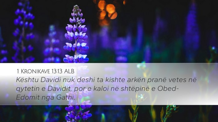 1 Kronikave 13:13 ALB Bible Verse Image