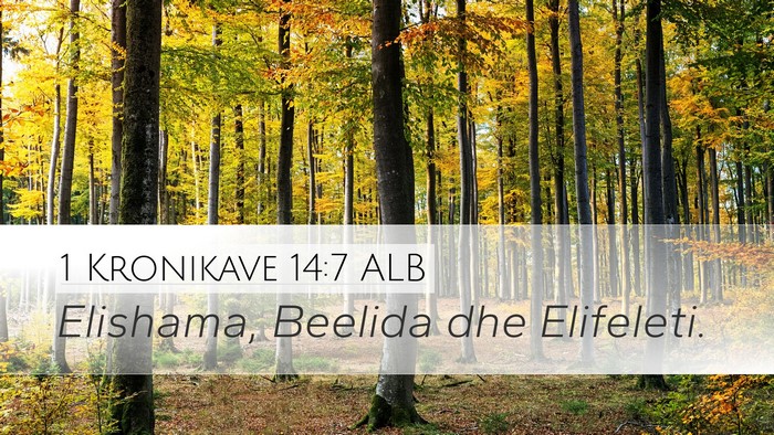 1 Kronikave 14:7 ALB Desktop Wallpaper - Elishama, Beelida dhe - Desktop Bible Verse Wallpaper