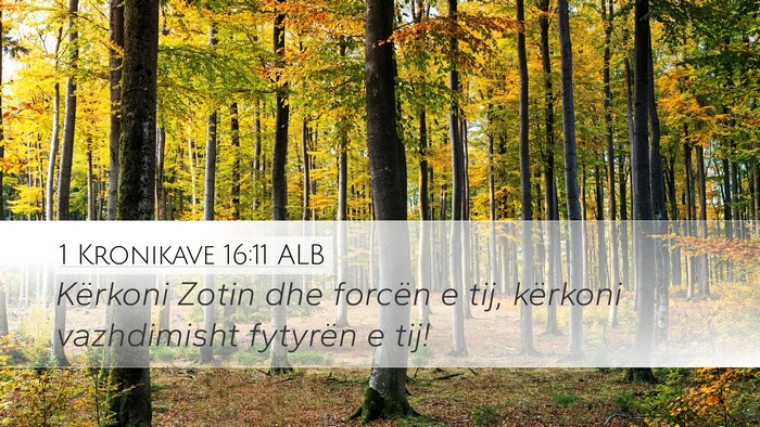 1 Kronikave 16:11 ALB Bible Verse Image