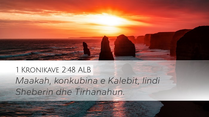 1 Kronikave 2:48 ALB Desktop Wallpaper - Maakah, konkubina e Kalebit, lindi Sheberin dhe - Desktop Bible Verse Wallpaper