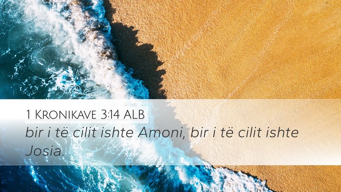 1 Kronikave 3:14 ALB Bible Verse Image