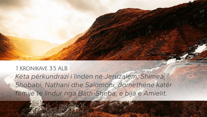 1 Kronikave 3:5 ALB Bible Verse Image