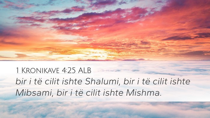 1 Kronikave 4:25 ALB Desktop Wallpaper - bir i të cilit ishte Shalumi, bir i të cilit - Desktop Bible Verse Wallpaper