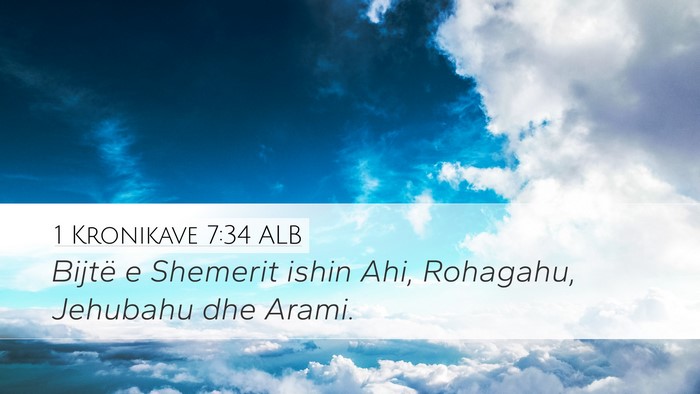 1 Kronikave 7:34 ALB Desktop Wallpaper - Bijtë e Shemerit ishin Ahi, Rohagahu, Jehubahu - Desktop Bible Verse Wallpaper