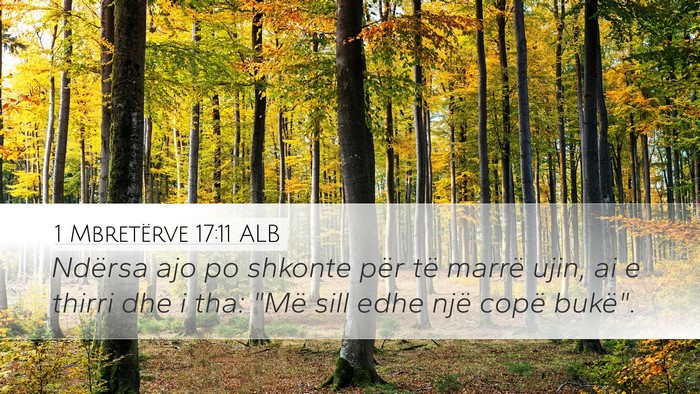 1 Mbretërve 17:11 ALB Desktop Wallpaper - Ndërsa ajo po shkonte për të marrë ujin, ai e - Desktop Bible Verse Wallpaper