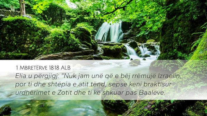 1 Mbretërve 18:18 ALB Bible Verse Image