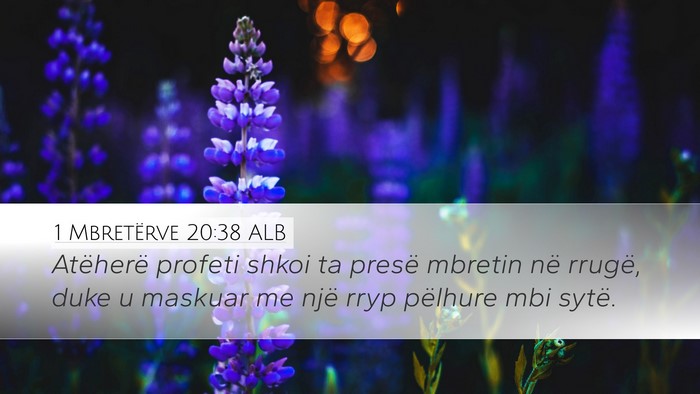 1 Mbretërve 20:38 ALB Bible Verse Image