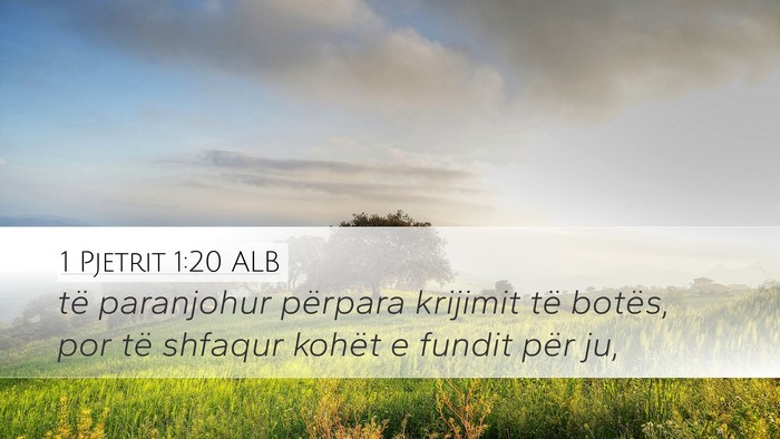 1 Pjetrit 1:20 ALB Bible Verse Image