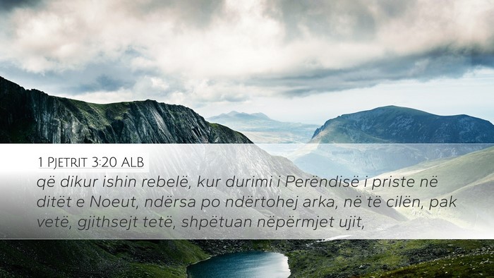 1 Pjetrit 3:20 ALB Bible Verse Image