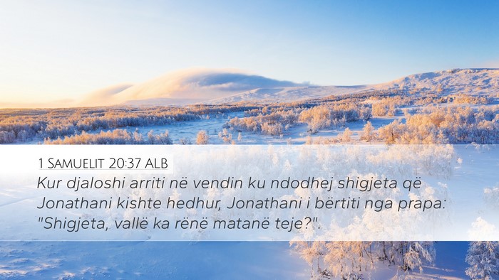 1 Samuelit 20:37 ALB Bible Verse Image