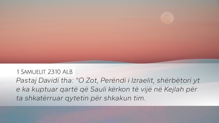 1 Samuelit 23:10 ALB Bible Verse Image