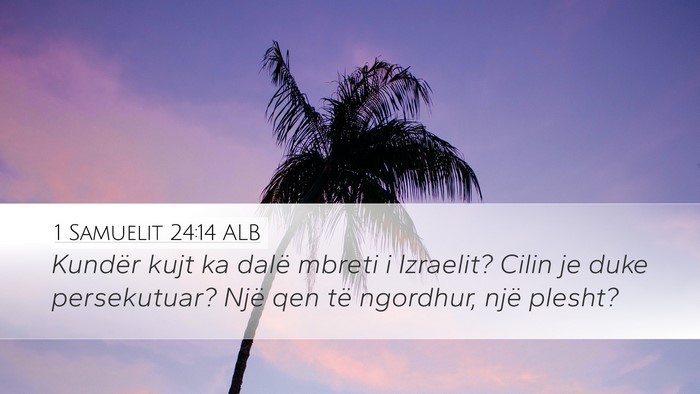 1 Samuelit 24:14 ALB Bible Verse Image