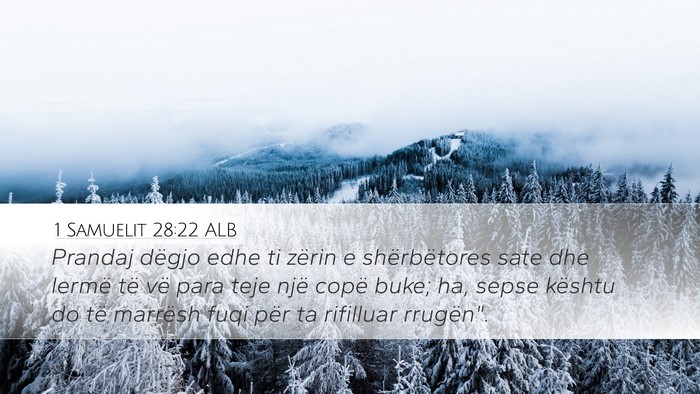 1 Samuelit 28:22 ALB Desktop Wallpaper - Prandaj dëgjo edhe ti zërin e shërbëtores - Desktop Bible Verse Wallpaper