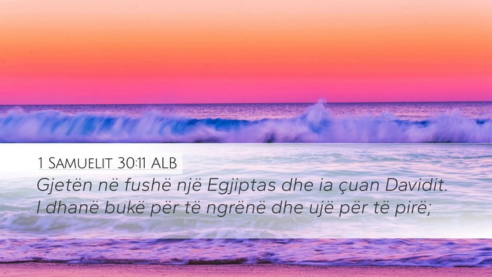 1 Samuelit 30:11 ALB Desktop Wallpaper - Gjetën në fushë një Egjiptas dhe ia çuan - Desktop Bible Verse Wallpaper