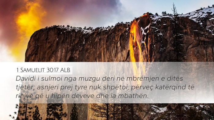 1 Samuelit 30:17 ALB Bible Verse Image