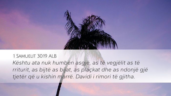 1 Samuelit 30:19 ALB Bible Verse Image
