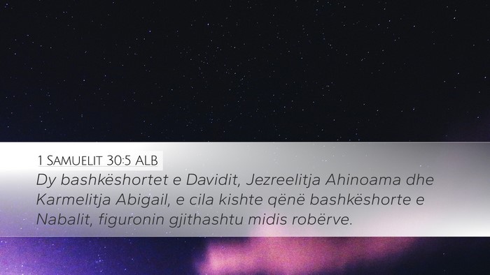 1 Samuelit 30:5 ALB Desktop Wallpaper - Dy bashkëshortet e Davidit, Jezreelitja Ahinoama - Desktop Bible Verse Wallpaper