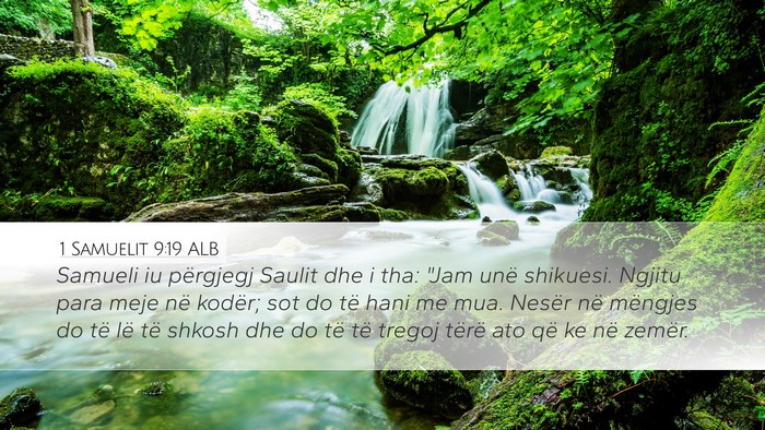 1 Samuelit 9:19 ALB Desktop Wallpaper - Samueli iu përgjegj Saulit dhe i tha: 