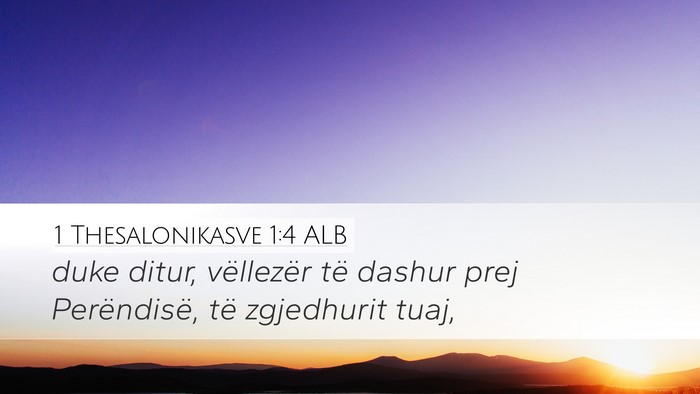 1 Thesalonikasve 1:4 ALB Bible Verse Image